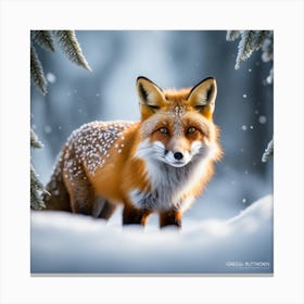 Fox In The Snow 11 Canvas Print