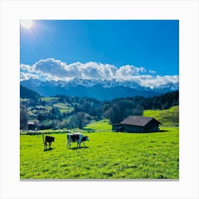 Alpine Pastoral Landscape Cows Grazing On Lush Green Slopes Snow Capped Mountains In The Distance (7) Canvas Print