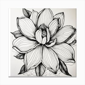 Flower In Black And White Canvas Print