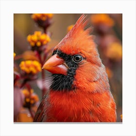 Cardinal 7 Canvas Print