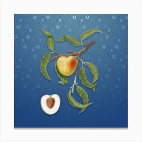 Vintage Peach Botanical on Bahama Blue Pattern Canvas Print