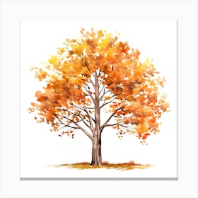 Watercolor Autumn Tree 1 Canvas Print