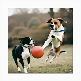 Playing dogs with red ball Canvas Print