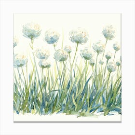 Editorial Art White Background Trifolium Canvas Print