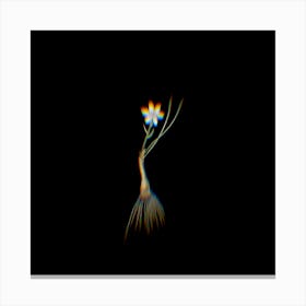 Prism Shift Snowdon Lily Botanical Illustration on Black n.0124 Canvas Print