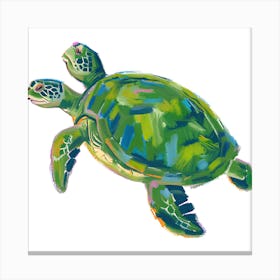 Green Sea Turtle 02 Canvas Print