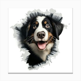 Bernese Dog Canvas Print