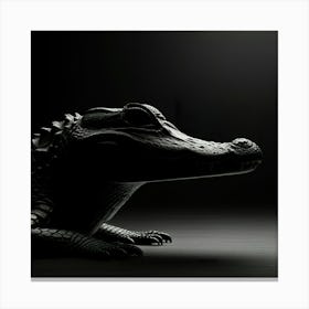 Alligator Canvas Print