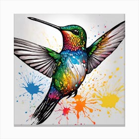 Hummingbird Canvas Print