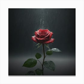 Rose In The Rain 2 Canvas Print