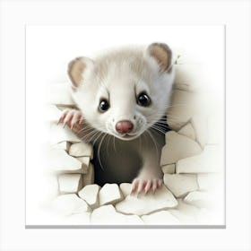 Ferret 2 Canvas Print