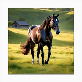 Horse Galloping In A Field Canvas Print