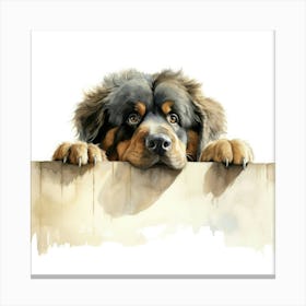 Tibetan Mastiff Dog 2 Canvas Print