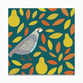 Partridge Game Bird with Pears on Teal Green Canvas Print