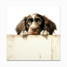 Spaniel Boykin 3 Canvas Print