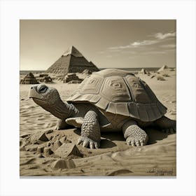 Egyptian Tortoise Canvas Print