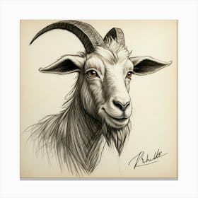 Goat Head 28 Canvas Print