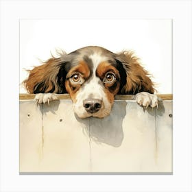 Spaniel Irish Water 3 Canvas Print