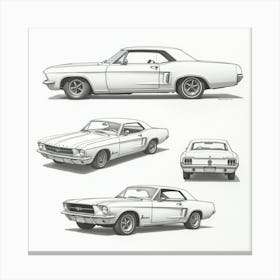 Mustangs Canvas Print