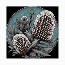 Australian Banksia Canvas Print