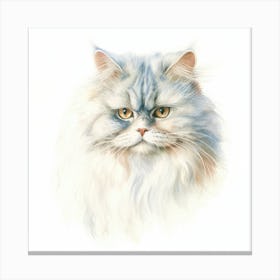 Persian Traditional Cat Portrait 1 Canvas Print