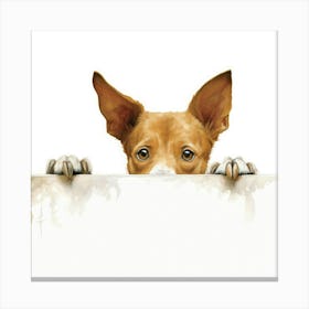 Chihuahua 25 Canvas Print