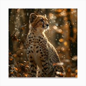 Cheetah 24 Canvas Print