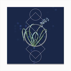 Vintage Dutch Hyacinth Botanical with Geometric Line Motif and Dot Pattern n.0006 Canvas Print
