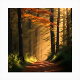 Autumn In The Forest Canvas Print