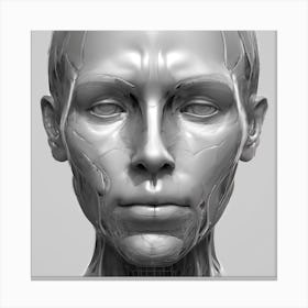 3d Head 1 Canvas Print