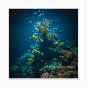 Coral Reef 12 Canvas Print