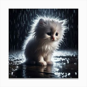 Cute Kitten In The Rain 7 Canvas Print