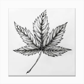 Cannabis Leaf Canvas Print