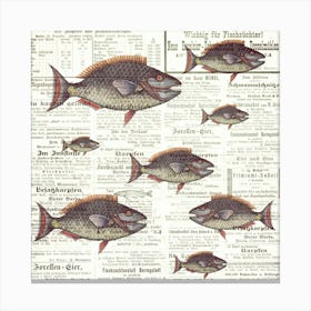 Fish Fishes Against The Current Canvas Print