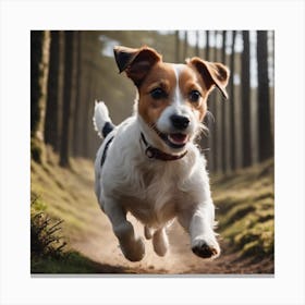 Jack Russell Running In The Woods Canvas Print