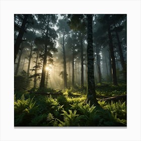 Sunrise In The Forest 15 Canvas Print