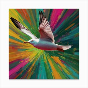 Seagull In Flight Canvas Print
