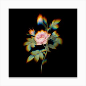 Prism Shift Pink Rose Turbine Botanical Illustration on Black Canvas Print