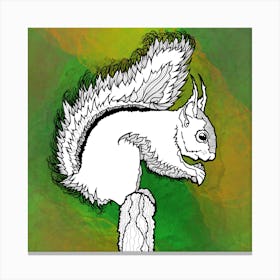 Squirrel Canvas Print