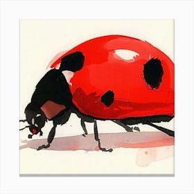 Ladybug 1 Canvas Print