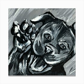 Puppy Paw Black and White Canvas Print