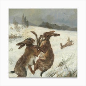 Rabits 55 Canvas Print