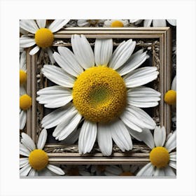 Daisy Frame 4 Canvas Print