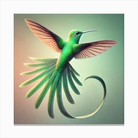 Hummingbird 19 Canvas Print