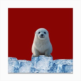 Seal On Ice Cubes Canvas Print