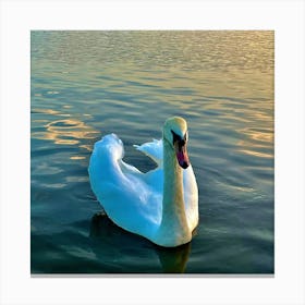 Swan In The Water Canvas Print