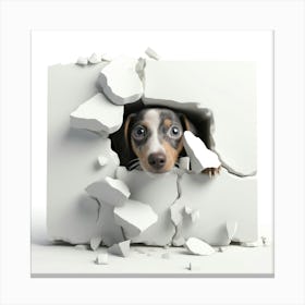 Dog Peeking Out Of A Hole Canvas Print