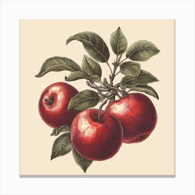 Apple Branch Canvas Print