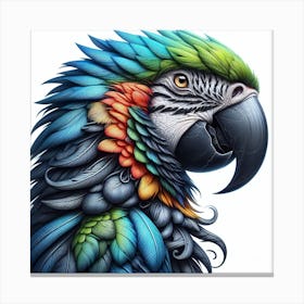 Large Parrot of Jaco 1 Canvas Print