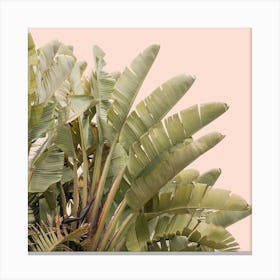 Tropical Leaves On Pastel Square Canvas Print